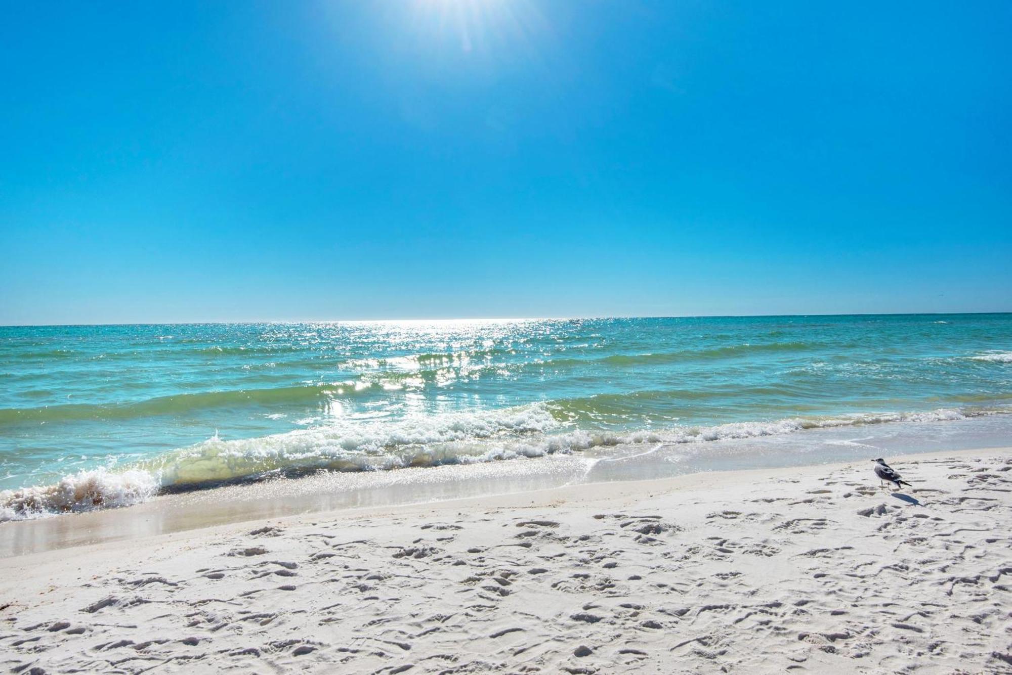 Shores Of Panama 1802 Panama City Beach Esterno foto